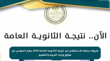 طريقة سهلة للاستعلام عن نتيجة الثانوية العامة 2025 برقم الجلوس من موقع وزارة التربية والتعليم
